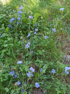 tocka moci _ vdc (2)